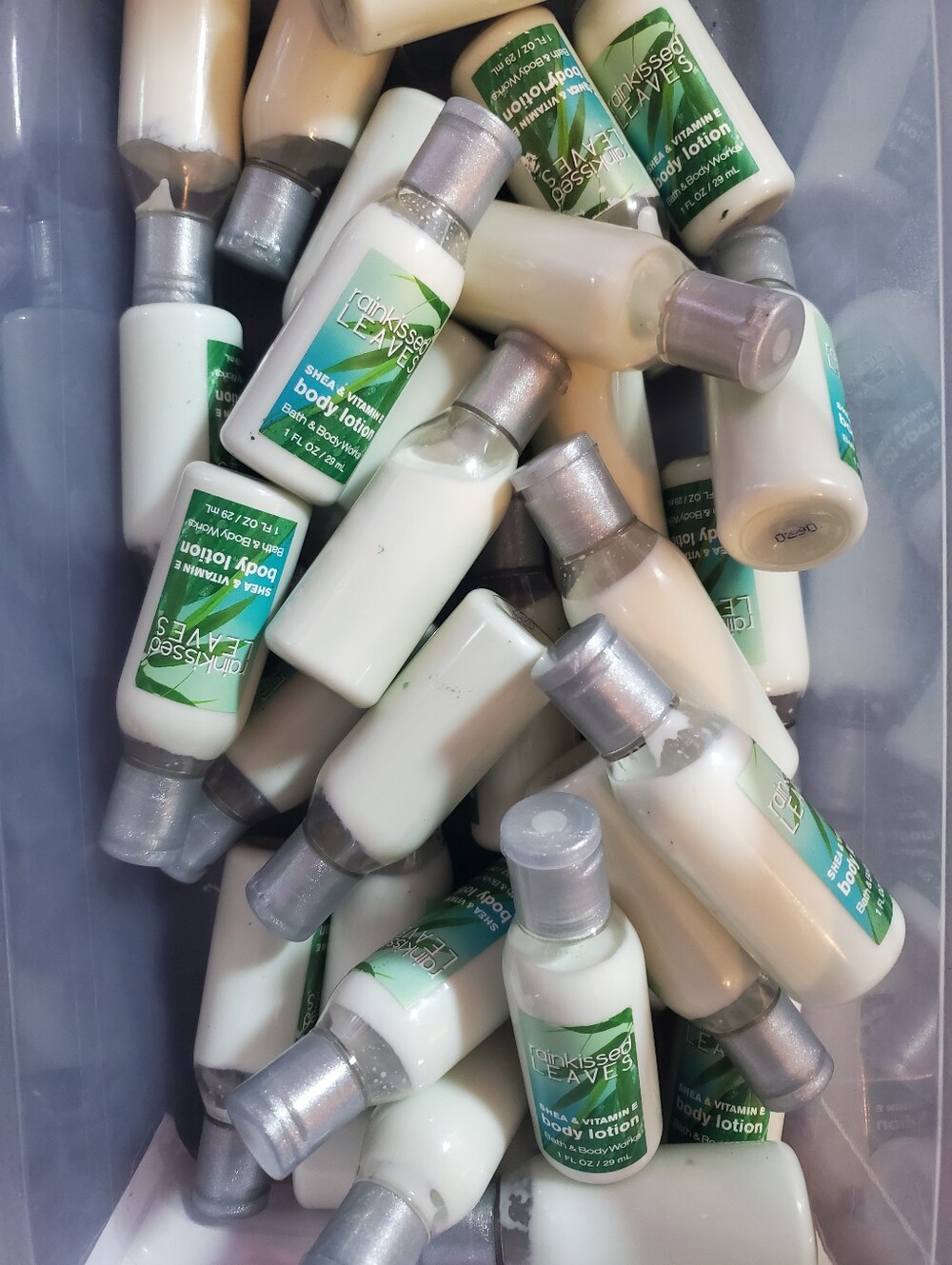 5 Bath & Body Works Travel-Size Rain Kissed Shea & Vitamin E Body Lotion
